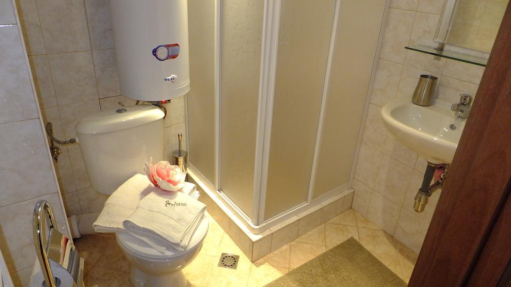 Bansko Prespa Ski Penthouse Room photo